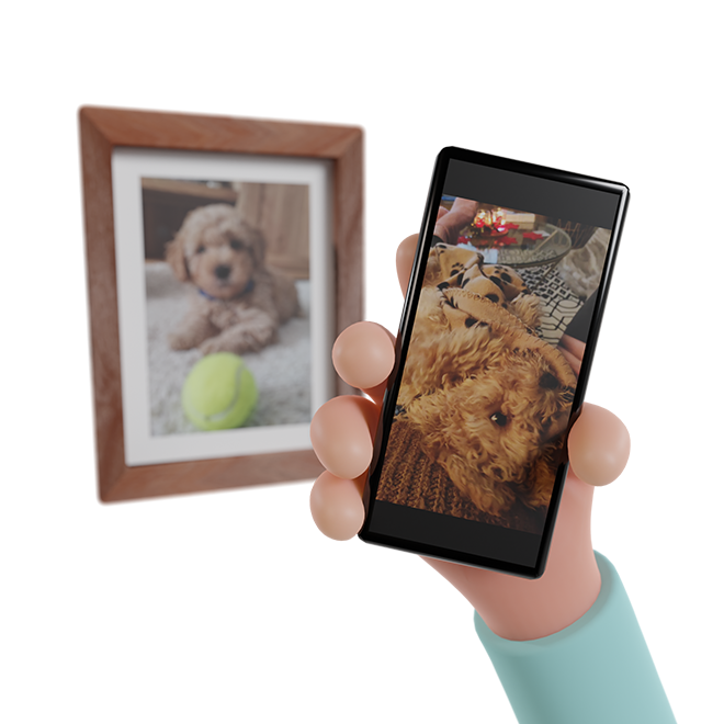 Snapas scan QR on photo frame